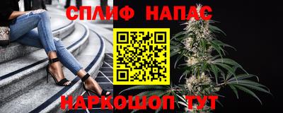 мдма Кингисепп