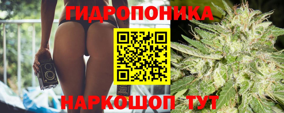 Кохма  Марихуана конопля  Конопля индика  МАРИХУАНА семена  Вход с VPN 